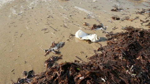Plastic bottle trash floating over sea waves,environment pollution,slowmotion Stock Footage 230738268