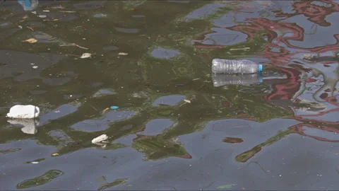 Plastic Bottle Trash Floating in Polluted Water Stock Footage 317204278