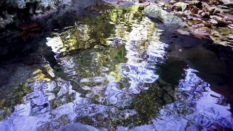 Plastic Bottle Trash is going on the river and falls down from waterfall Stock Footage 117282462
