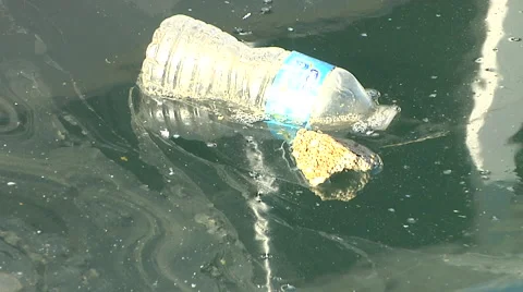Plastic Bottle Trashed in the Marina Stock Footage 41380697