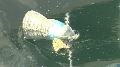 Plastic Bottle Trashed in the Marina Stock Footage 41380710