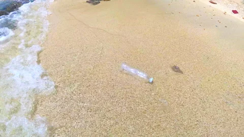 Plastic bottle washed up on the shore. Marine pollution. Video stock 284948015