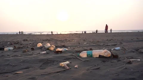 Plastic bottle waste and garbage on the beach Stock Footage 238923919