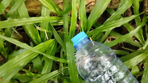 Plastic bottle waste that is carelessly thrown away in nature Stock Footage 310290972