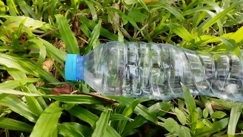 Plastic bottle waste that is carelessly thrown away in nature Stockbeeldmateriaal 310291019