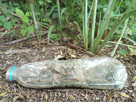 Plastic bottle waste in the forest Foto stock