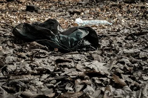Plastic bottle. Waste garbage in forest and environment. Trash rubbish in woo Stock Photos