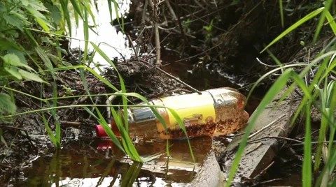 Plastic bottle in the water Video stock 51298245