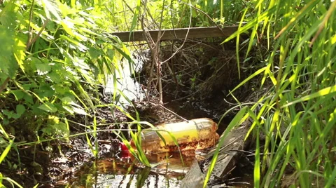 Plastic bottle in the water Video stock 51299307