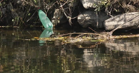 Plastic bottle in water Stock Footage 164060986