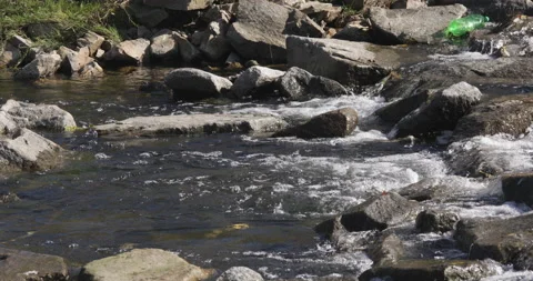 Plastic bottle in water Stock Footage 164067673