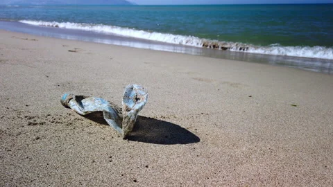 Plastic bottle on the water's edge Video stock 186765933