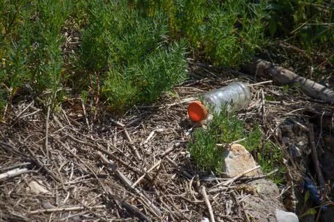 Plastic bottle in the wild. Environmental pollution Stock Photos