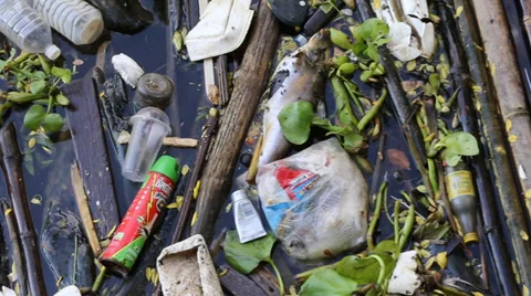Plastic bottles and containers floating among water in Bangkok, Thailand Stock Footage 38501582