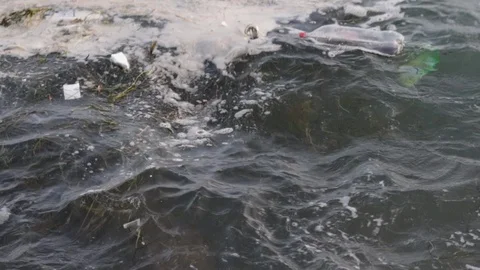 Plastic bottles and foam floating near the coast. Beach pollution. Stock Footage 120728066
