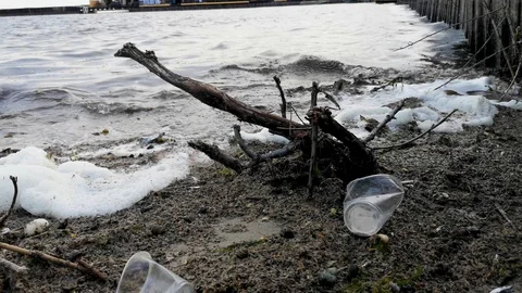 Plastic bottles and glasses on the sandy beach. Dirty water in which zllichny ga Stock Footage 108057743