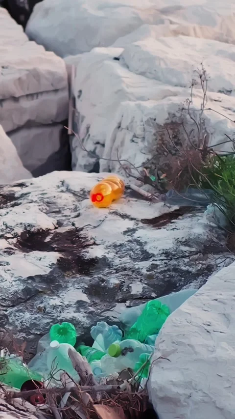 Plastic bottles and litter trapped between seaside rocks, showing coastal Stock Footage 335945974