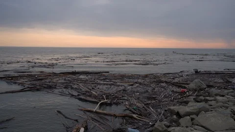Plastic bottles and logs 库存影片 107995429