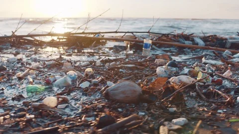 Plastic Bottles And Other Garbage Dumped On Black Beach. Environmental Pollution Video stock 99735850