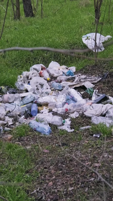 Plastic Bottles and Rubbish Scattered on Forest Ground Pollution Stock Footage 324558955