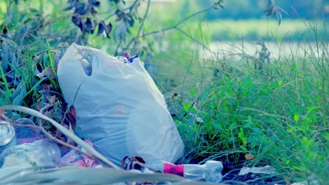 Plastic bottles and trash littering riverbank of Southern Bug river in summer Stock-Footage 340463668