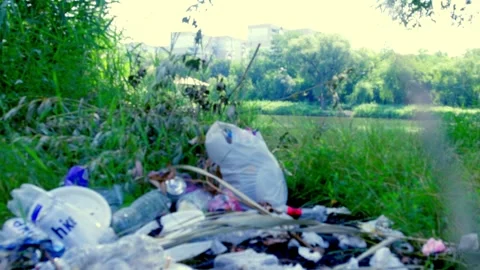 Plastic bottles and trash littering riverbank of Southern Bug river in summer Stock Footage 340464084