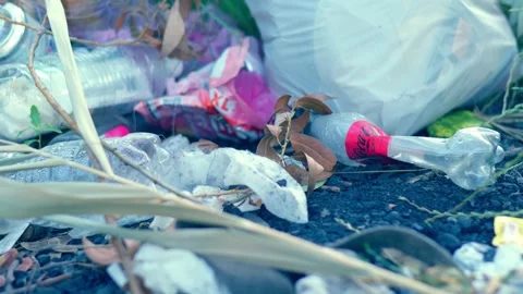 Plastic bottles and trash littering riverbank of Southern Bug river in summer Stock Footage 340464334