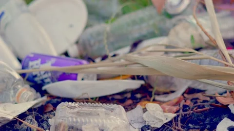 Plastic bottles and trash littering riverbank of Southern Bug river in summer Stock Footage 340464496