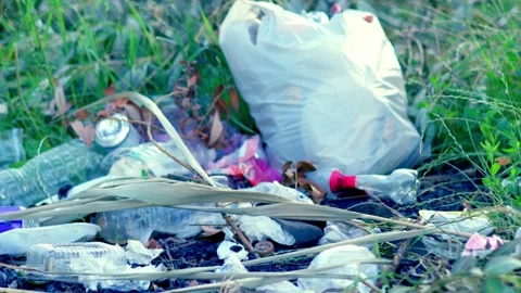 Plastic bottles and trash littering riverbank of Southern Bug river in summer Stock Footage 340464552