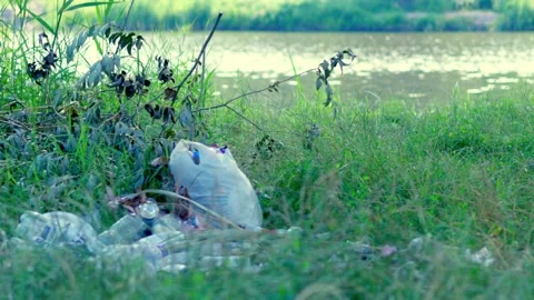Plastic bottles and trash littering riverbank of Southern Bug river in summer Stock Footage 340464689