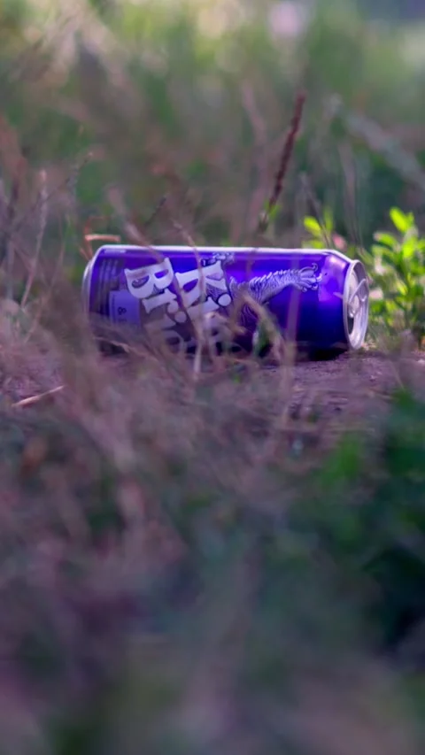 Plastic bottles and trash littering riverbank of Southern Bug river in summer Stock-Footage 340576702