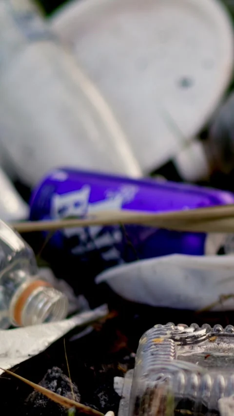 Plastic bottles and trash littering riverbank of Southern Bug river in summer Stock-Footage 340577575