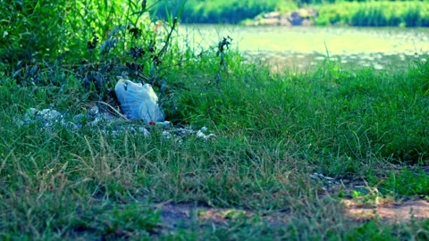 Plastic bottles and trash lying on green grass near river shore Stock Footage 340463599