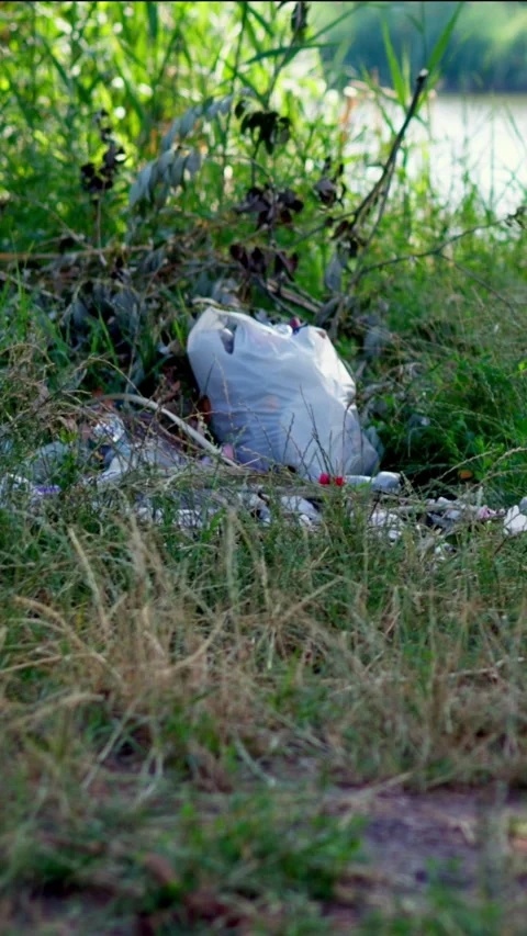 Plastic bottles and trash lying on green grass near river shore Stock Footage 340576990