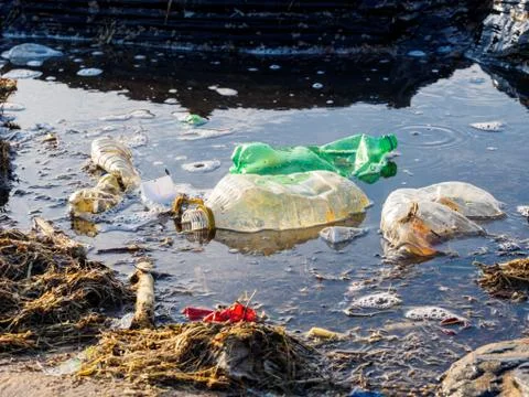 Plastic bottles contaminate a tidal pool at the beach. Stock Photos