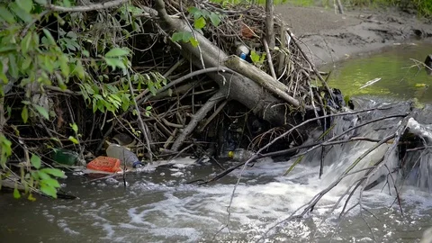 Plastic bottles in the dirty Olt river at summertime Stock-Footage 112587443