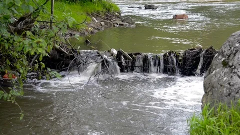 Plastic bottles in the dirty Olt river Stock Footage 112587451