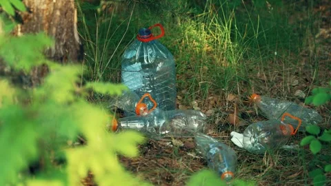 Plastic bottles discarded by people in the forest. The concept of recycling. Stock-Footage 342638800