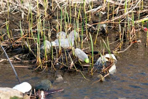 Plastic bottles dumped in a river  Stock Photos