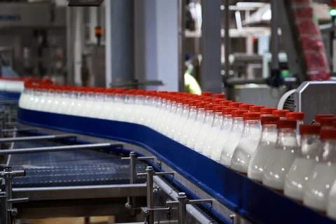 Plastic bottles filled with pasteurized milk on a factory conveyor. Stock Photos