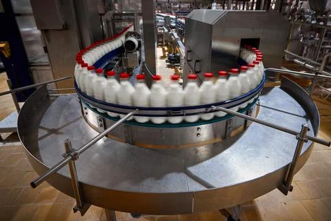 Plastic bottles filled with pasteurized milk on a factory conveyor. Stock Photos