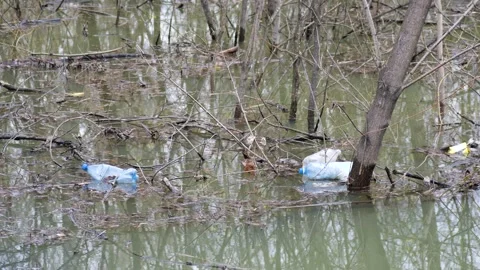 Plastic bottles float in the water. Stock Footage 153375823