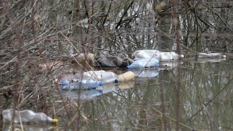 Plastic bottles float in the water. Stock Footage 153375826