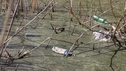Plastic bottles floating on the lake Stock Footage 75468268