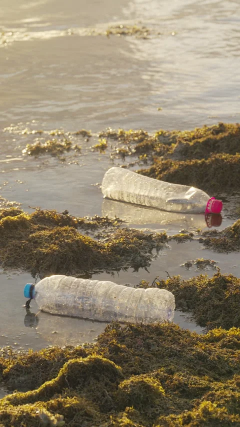 Plastic bottles floating in ocean water, environment concept Stock Footage 337815187