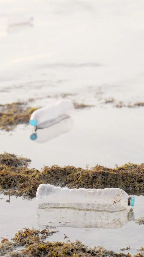 Plastic bottles floating on water, ocean pollution, environmental problems Stock Footage 337815486