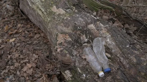 Plastic bottles in the forest Stock Footage 123435174