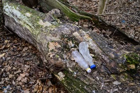 Plastic bottles in the forest. plastic bottles lie in the forest Stock Photos