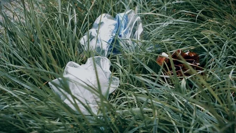 Plastic bottles, garbage lying in the grass, dull dark colors Stock Footage 106719664
