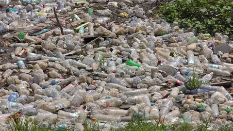 Plastic bottles left by campers thrown as garbage to a river, Northern Israel Stockbeeldmateriaal 79042080